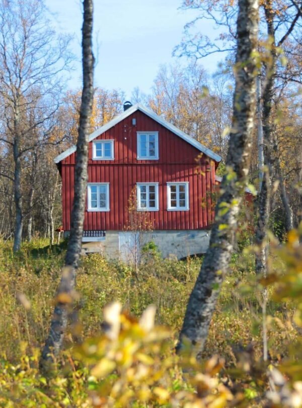 daniel-cristian-uPGmudIjP4c-unsplash-1